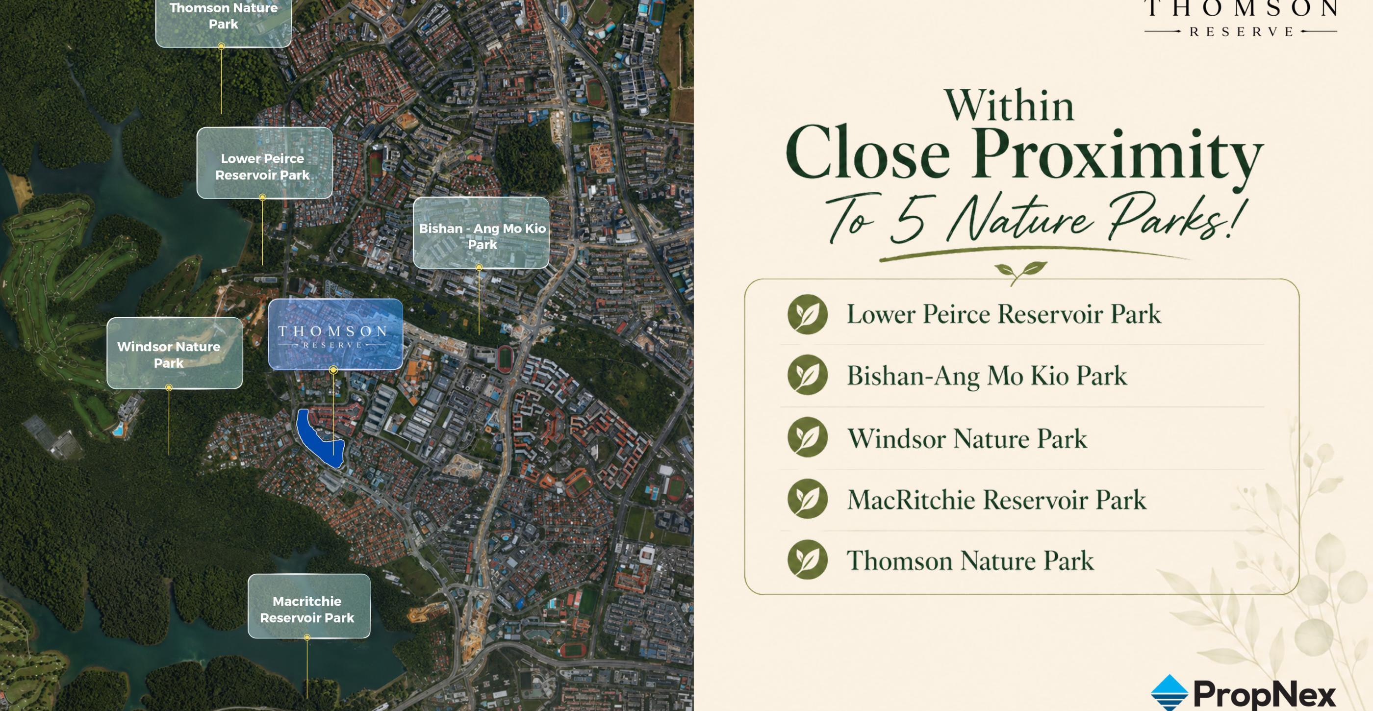 Five nature parks within close proximity — Lower Peirce, Bishan-Ang Mo Kio, Windsor, MacRitchie, Thomson Nature Park